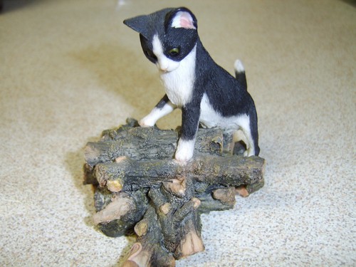 Kitten logs watching - kitten,