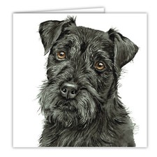 Patterdale Terrier greetings