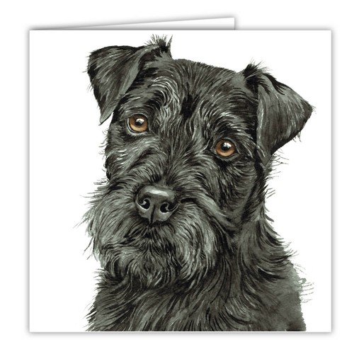 Patterdale terrier greetings - patterdale,