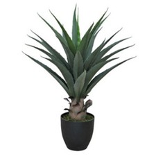 Tropical yucca artificial - yucca,