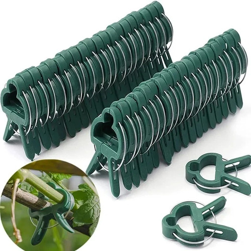 Premium green garden - green, clips