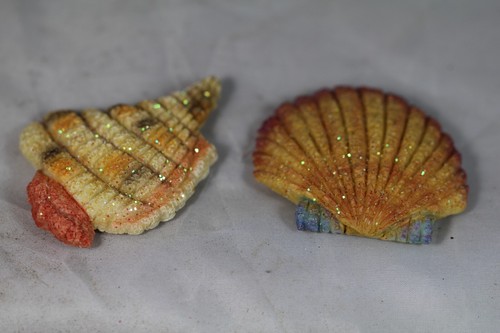 Sea shell fridge magnets - -, set
