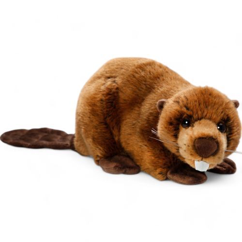 Beaver approx 30cm length