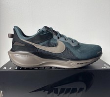 Nike Pegasus 41 SP Mens