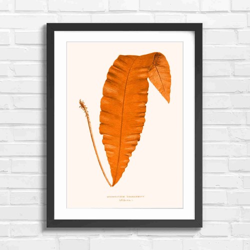 Vintage botanical fern leaf - vintage,