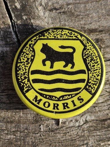 Vintage morris car lapel - lapel, pin