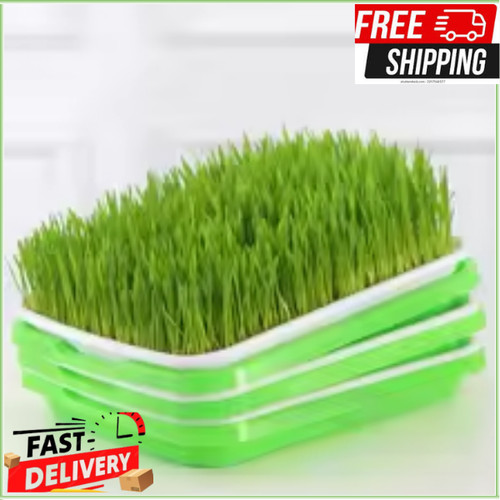 Microgreen sprouter tray - microgreen,
