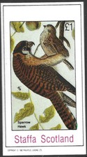 Staffa Scotland, 1982, £1 Sparrow Hawk, Birds, MNH Imperf M/S Sheet #M3051