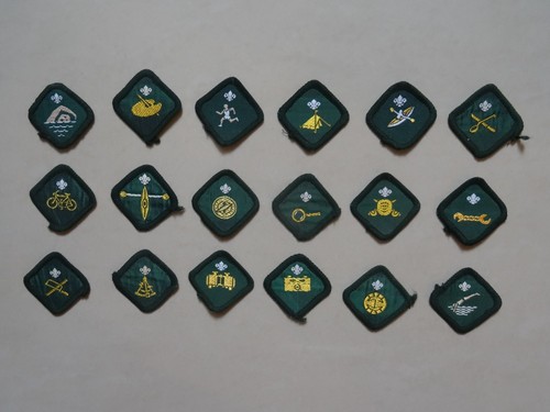 Scout proficiency badges - proficiency,