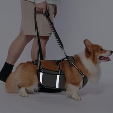 COODEO Mobility Dog Lift