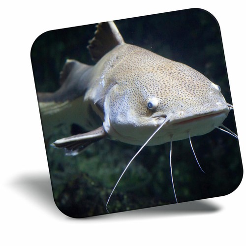 Awesome fridge magnet - fridge,