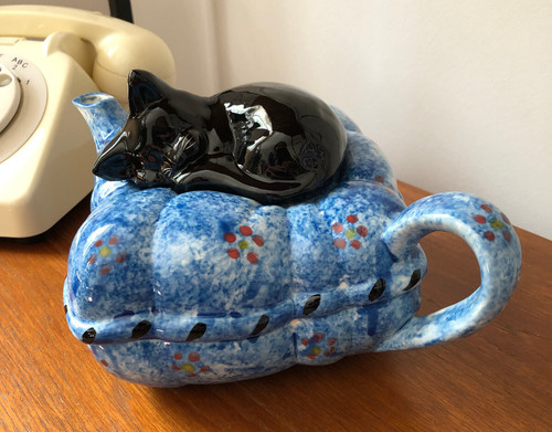 Black cat kitten - , on