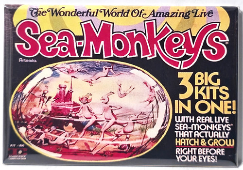 Sea monkeys magnet - sea,
