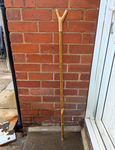 Wooden brown walking stick - wooden,
