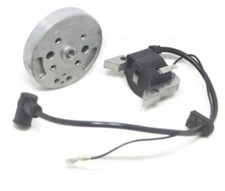 Ignition flywheel + coil for