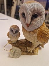 This is Barn Owls - Mother