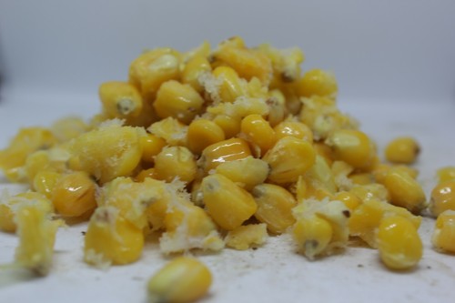 Prepared maize 5kg 20kg - 2.5kg,