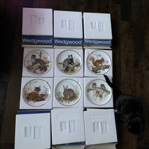 Set plates wedgwood - plates,