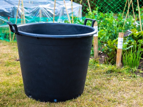 Large 65litre plant - plant, pot