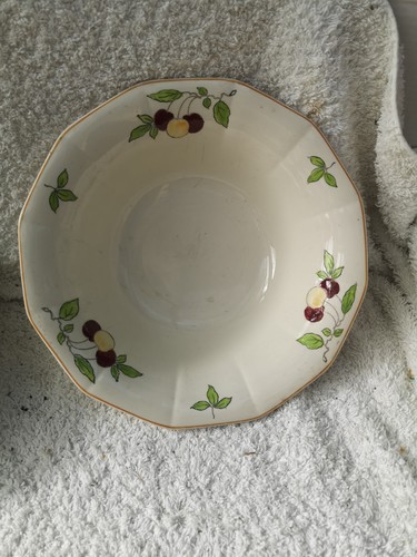 Myott cherry damson serving