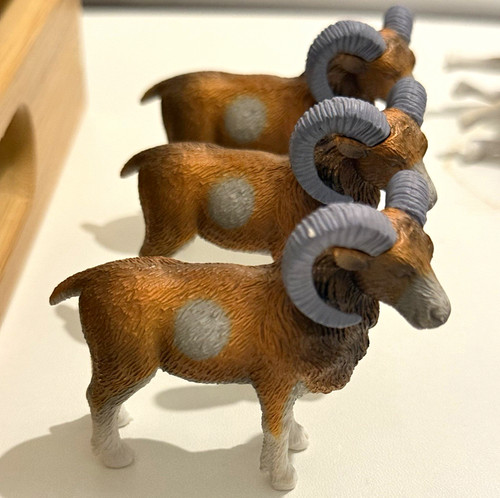 Lot plastic ram - lot, 4