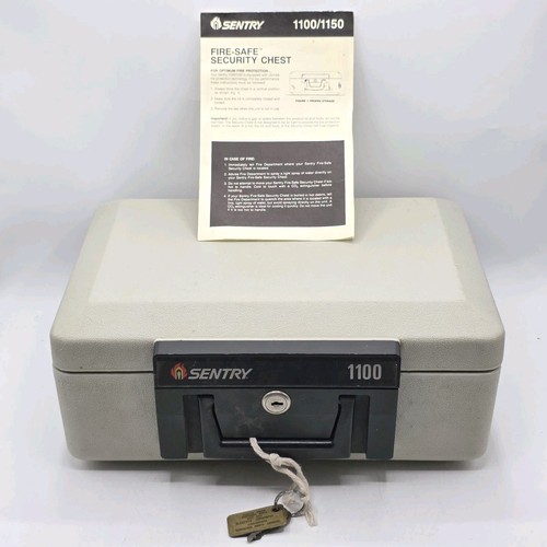 Sentry 1100 fire - sentry, security