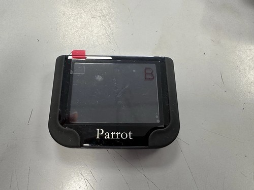 Parrot xanthi - xanthi, 4