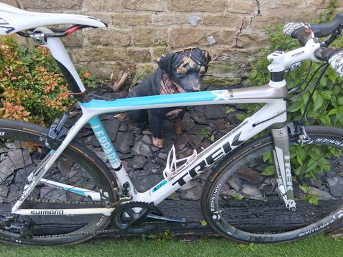 Trek madone ssl - madone, one