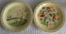 Vintage 1960s, Barker Bros, Royal Tudor Ware Dinner Plates x 2