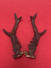 PAIR OF ROE DEER ANTLERS 