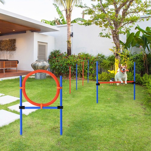 Pet agility set training - set,