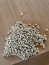 Edgebander Specific Hand Held