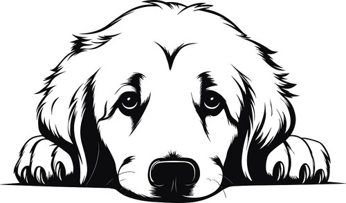 Personalised puppy dog i - dog,