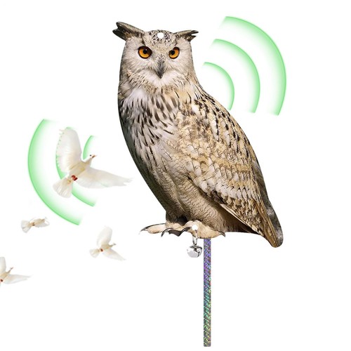 Owl decoy bird drive - bird,