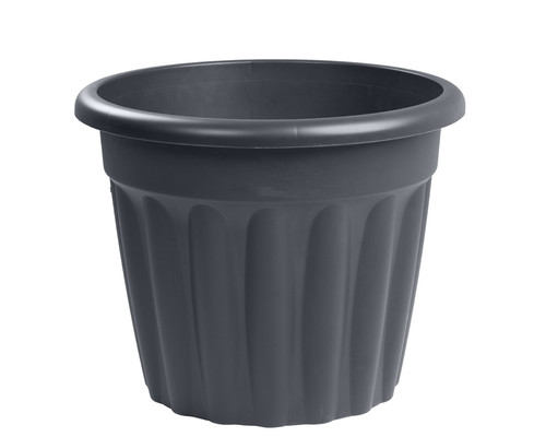 Litre graphite grey - litre, plant