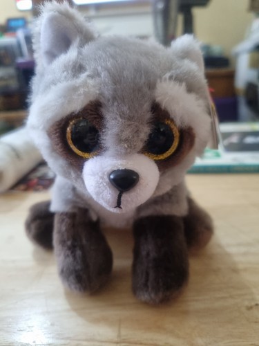 Beanie bandit the raccoon - the,