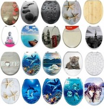 MDF Soft Slow Close Toilet Seat Novelty Design Stainless Steel Hinges Loo Seats