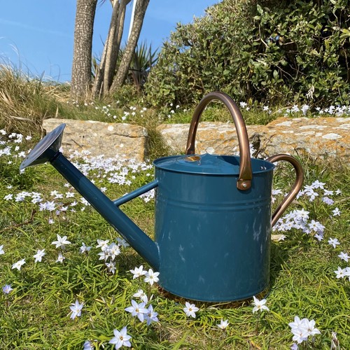 Watering can metal - can, indoor