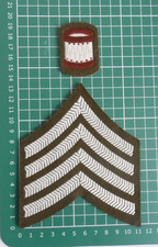 BRITISH ARMY DRUM MAJORS #2