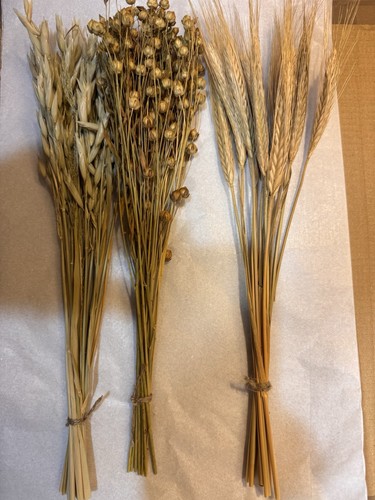 Dried flowers three - flowers, 'three