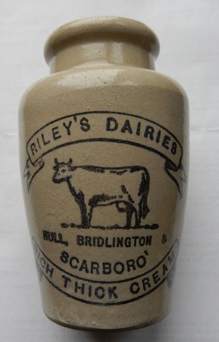 Riley dairies hull - riley's,