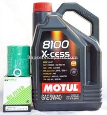 Hamp Oil Filter+ Motul 8100