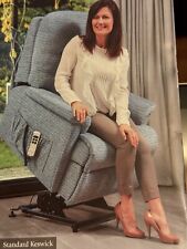 rise and recliner chair electric
