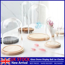 Glass Dome Display Bell Jar