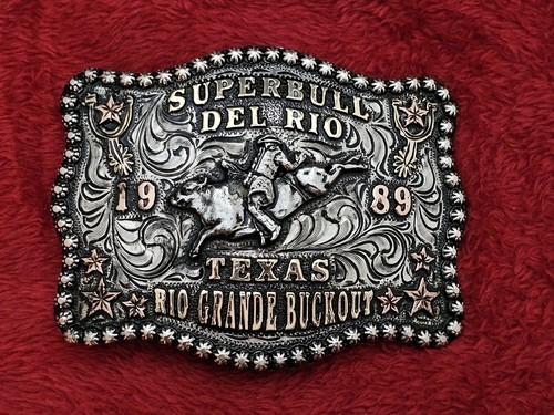 Bull riding superbull - bull,
