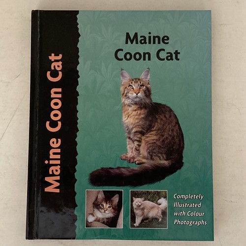 Maine coon cat - maine, k