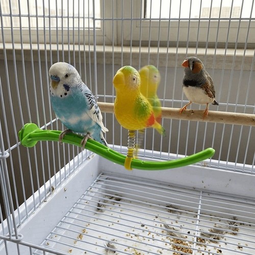 Spring wobble bird - wobble, stand