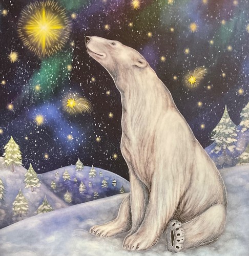 Svalbard star polar bear - star, &