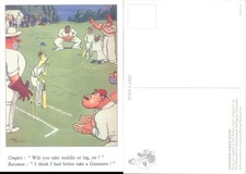 Cricket players on field