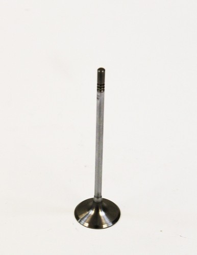 Inlet valve for - valve, /